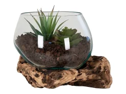 Clearance House Nordic Jarrón sobre rama de madera en vidrio 15x15x15 cm Transparente