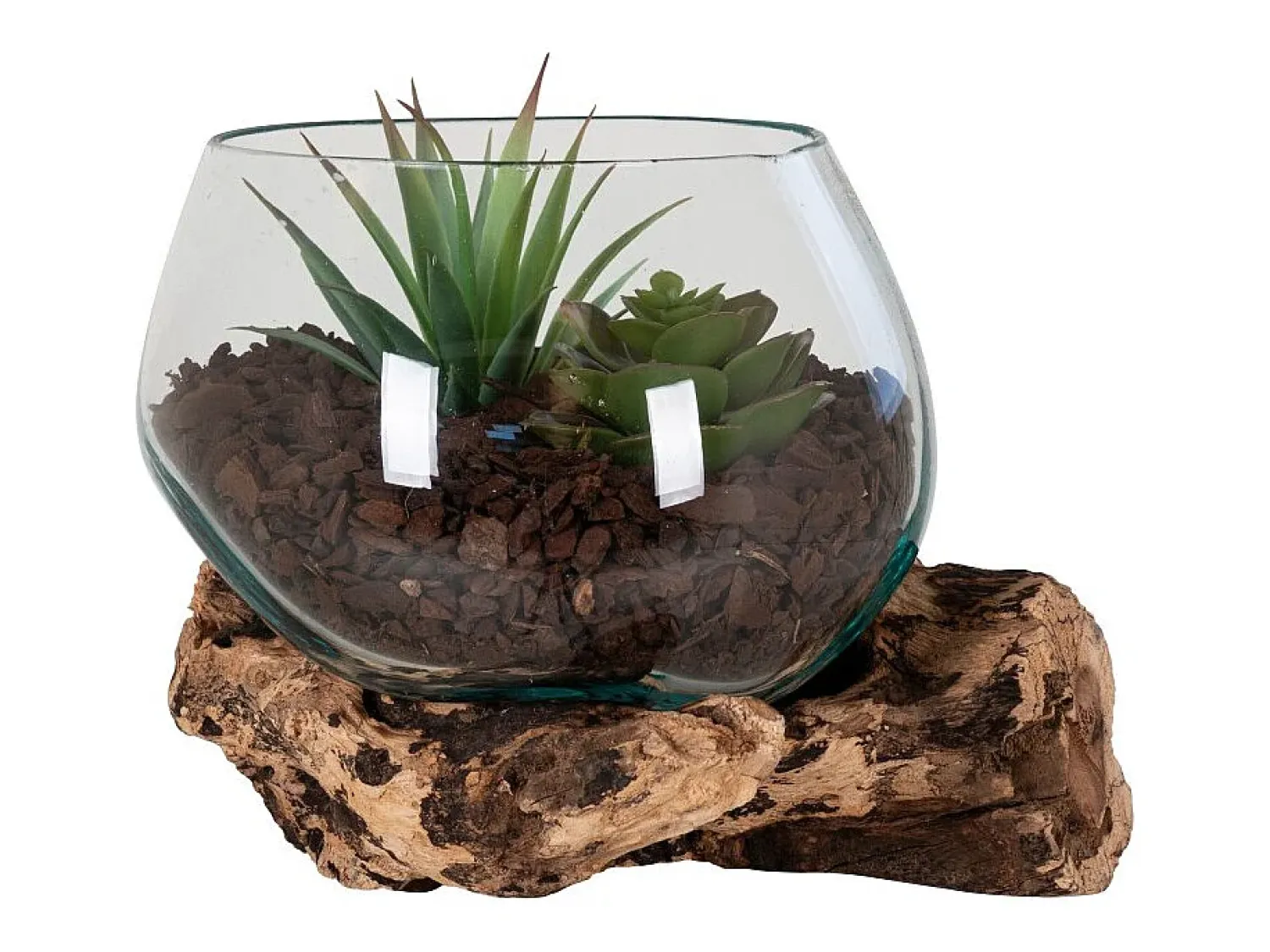 Clearance House Nordic Jarrón sobre rama de madera en vidrio 15x15x15 cm Transparente