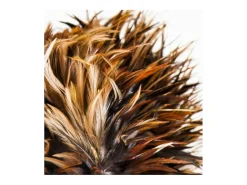 Discount Les Tendances Lámpara de mesa Zoey de plumas y teca maciza envejecida Color natural claro