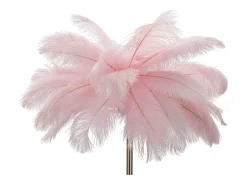 Lámpara De Pie^Lámpara de pie Palm Cm Ø55X160 Rosa