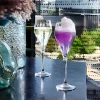 Discount Chef & Sommelier Lote de 6 Copas de Vino 16 cl Symétrie