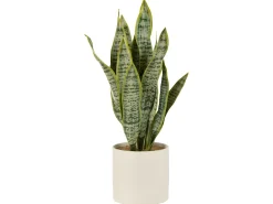 New J-Line Maceta de sansevieria artificial de plástico de 16x16x59 cm Verde