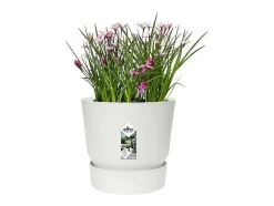 Online ELHO Maceta exterior redonda Ø 24 x Alto 23 cm - Blanco