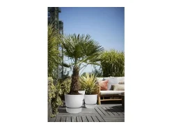 ELHO Macetero^Maceta redonda 40 - Exterior Ø 39 x 36,8 cm - Living hormigón Gris