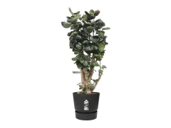 New ELHO Maceta redonda 40 - Exterior Ø 39 x 36,8 cm - Living Negro