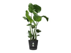 Maceta redonda 30 - Exterior Ø 29,5 x 27,8 cm - Living negro