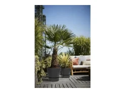 Maceta redonda 30 - Exterior Ø 29,5 x 27,8 cm - Living negro