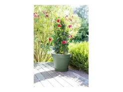Maceta redonda - PLÁSTICO Ø 48 x 39 cm - 43 L - Verde laurel