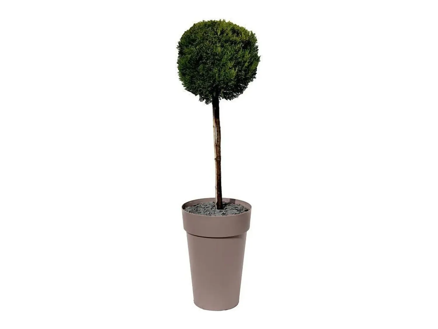 Best EDA Maceta/jarrón alto Ø 46 x 65 cm - 67 L - Taupe Topo