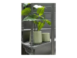 Clearance J-Line Macetero de cerámica de 23x23x22 cm Verde