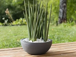 Macetero Graphit Up Redondo de Plástico Gris Antracita Ø 40 cm 14,9 L