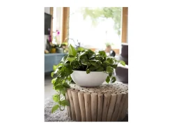 Sale EDA Macetero redondo de plástico Graphit Up lima Ø 40 cm 14,9 L Blanco