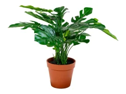 Best House Nordic Monstera deliciosa artificial 45 cm Verde
