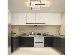 Outlet NETTLIFE Lámpara de techo LED Lámpara de techo para sala de estar Regulable 62W con 2 focos de techo Negro con control remoto Acrílico moderno Blanco