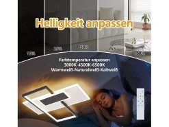 Outlet NETTLIFE Lámpara de techo LED Lámpara de techo para sala de estar Regulable 62W con 2 focos de techo Negro con control remoto Acrílico moderno Blanco