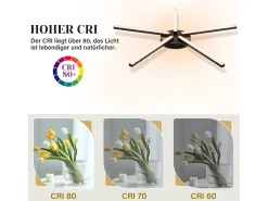 NETTLIFE Plafón^Lámpara de Techo LED Salón 25" 24W Cocina Moderno 5 Bombillas Diseño Pasillo Blanco Cálido Cristal Dormitorio para Cocina Negro