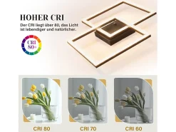 NETTLIFE Plafón^Lámpara de Techo LED Sala de Estar 3000K Blanco Cálido Lámpara de Dormitorio de Cristal Moderna 24W para Cocina Dormitorio Pasillo Negro