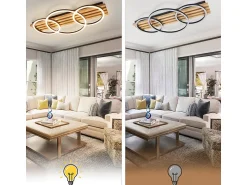 Best NETTLIFE Lámpara de techo LED regulable: 70 cm, lámpara de salón, 46 W, lámpara de dormitorio moderna, iluminación de techo negra con control remoto, Plateado