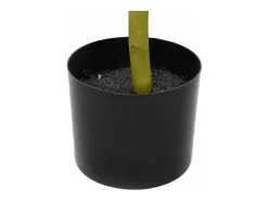 Planta Artificial^Olivo artificial 1000 hojas 300 cm Verde