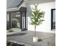 Best ML-DESIGN Olivo artificial Plantas artificiales Árbol artificial Planta artificial en mace Verde