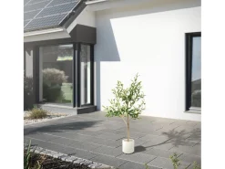 ML-DESIGN Planta Artificial^Olivo artificial Plantas artificiales Árbol artificial Planta artificial en mace Verde