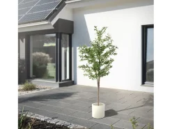 ML-DESIGN Planta Artificial^Olivo artificial Plantas artificiales Árbol artificial Planta artificial en mace Verde