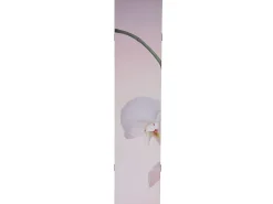 Pantalla fotográfica Bagheria, Orquídea