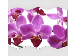 Pantalla fotográfica Bagheria, 180x240cm, Orquídea