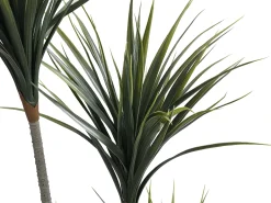 Clearance OZAIA Planta, arbusto, árbol artificial Yuca - Alt. 150 x Ancho 50 cm - - LYA Verde