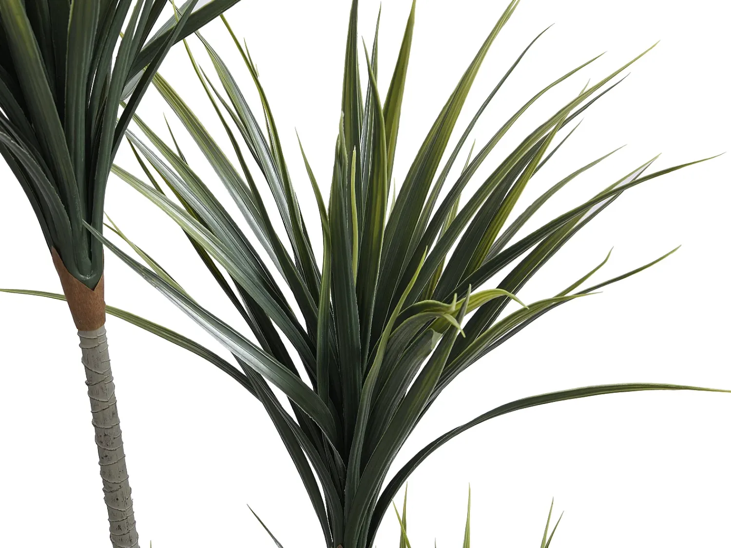Clearance OZAIA Planta, arbusto, árbol artificial Yuca - Alt. 150 x Ancho 50 cm - - LYA Verde