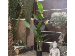 Discount NORTENE Planta artificial ave del paraiso flor 185 cm 185 CM Verde