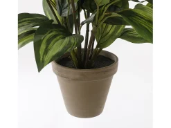 Mobilibrico Planta Artificial^Planta artificial de Poliéster y terracota - 65 x Ø40 - - HOSTA Verde
