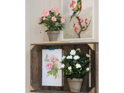 Clearance Mobilibrico Planta artificial de Poliéster y terracota - Ø25 x 33 - - ROSEBUSH Blanco