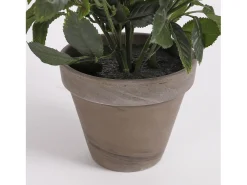 Clearance Mobilibrico Planta artificial de Poliéster y terracota - Ø25 x 33 - - ROSEBUSH Blanco