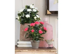 Clearance Mobilibrico Planta artificial de Poliéster y terracota - Ø25 x 33 - - ROSEBUSH Blanco