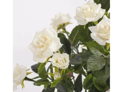 Clearance Mobilibrico Planta artificial de Poliéster y terracota - Ø25 x 33 - - ROSEBUSH Blanco