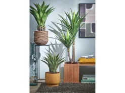 Mobilibrico Planta Artificial^Planta artificial de Polipropileno - Ø70 x 120 - - YUCCA Verde