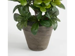 Mobilibrico Planta Artificial^Planta artificial de Poliéster y terracota - 27 x Ø20 - - AZALEA Blanco