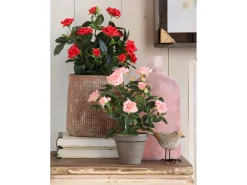 Mobilibrico Planta Artificial^Planta artificial de Poliéster y terracota - Ø25 x 33 - - ROSEBUSH Rojo