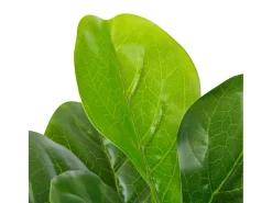 Planta Artificial^Planta artificial ficus con macetero 90 cm ES730167 Verde