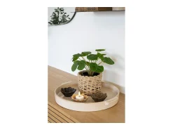 House Nordic Planta Artificial^Planta artificial Pilea Planta china del dinero verde 28 cm Multicolor