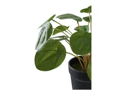 House Nordic Planta Artificial^Planta artificial Pilea Planta china del dinero verde 28 cm Multicolor