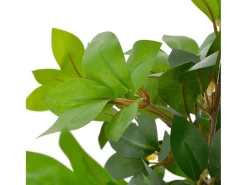 Planta Artificial^Planta artificial árbol de laurel con macetero 120 cm ES976759 Verde
