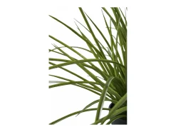 House Nordic Planta Artificial^Planta de césped artificial verde 45 cm Multicolor