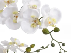 Planta, flor artificial orquídea - Alt. 65 x Ancho 54 cm- Blanco -TARA