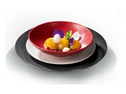 Plato de Ensalada y Pasta Stone Rouge 19 cm (Lote de 6)