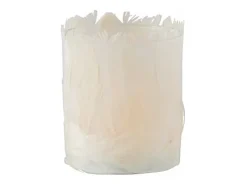 Portavelas de vidrio - Plumas crema 8x8x10 cm