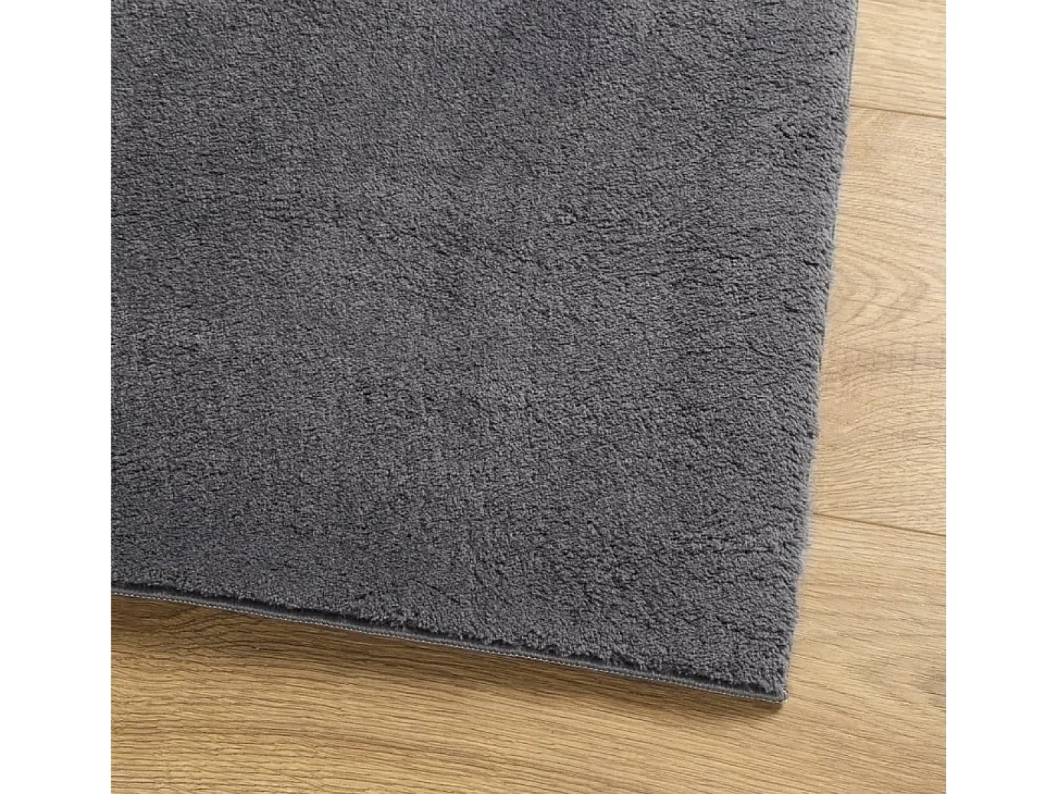 Clearance Garden Furniture Prolenta Premium - Alfombra de pelo corto suave lavable HUARTE antracita 200x280cm Gris antracita