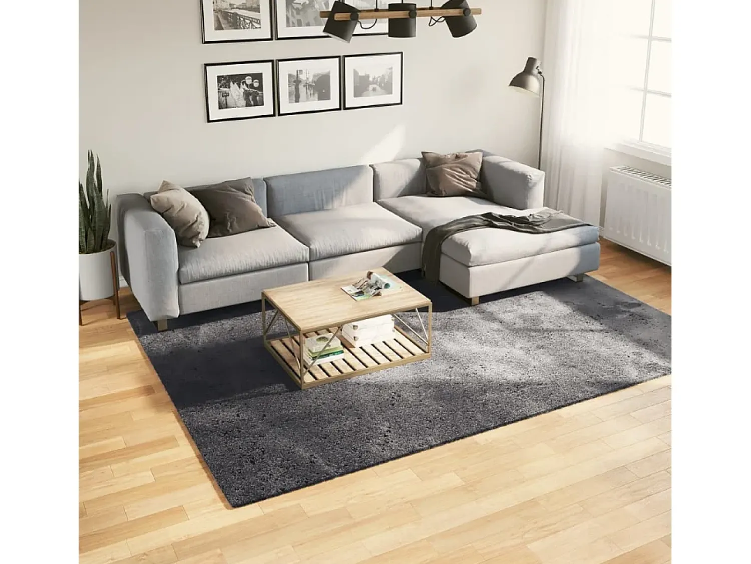 Clearance Garden Furniture Prolenta Premium - Alfombra de pelo corto suave lavable HUARTE antracita 200x280cm Gris antracita