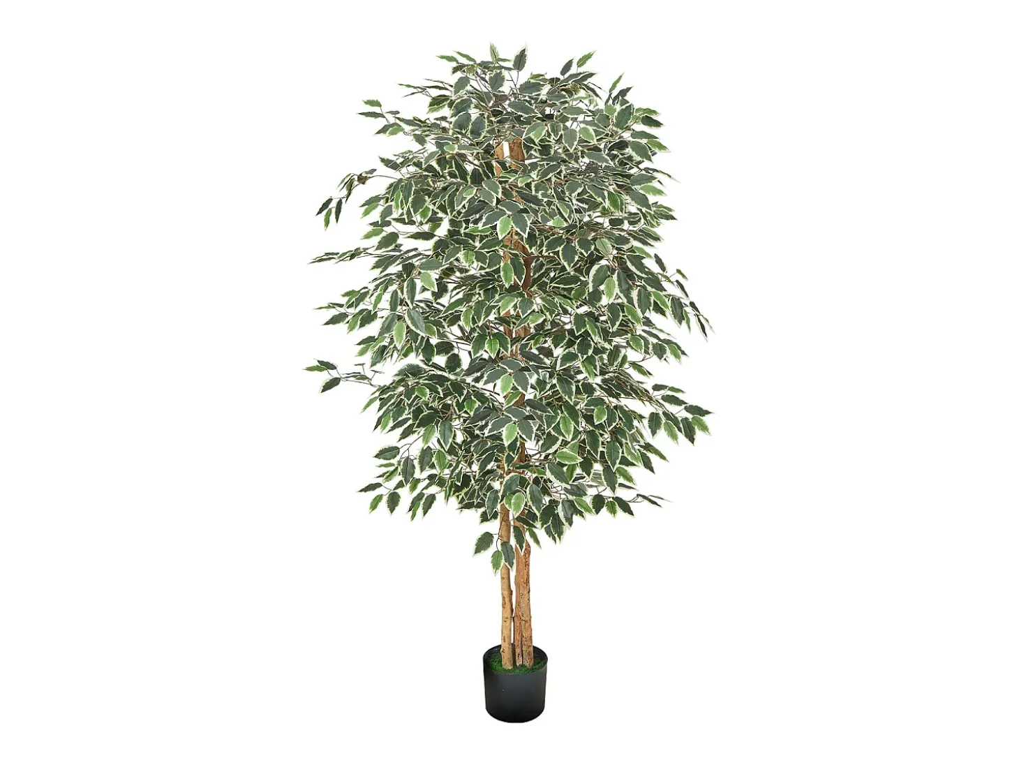 Árboles Artificiales SucceBuy Ficus Artificial de 180 cm con Maceta Negra, Planta Artificial Grande con Tronco de Madera Natural y Follaje Verde Realista